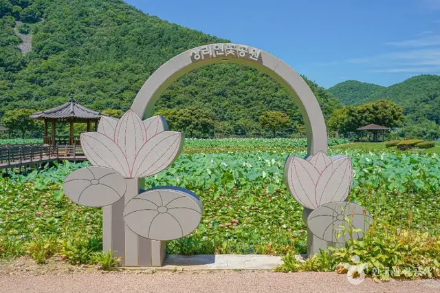 상리연꽃공원 사진