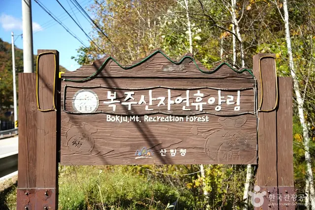 국립 복주산자연휴양림 사진