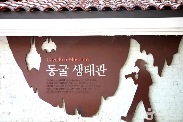영월동굴생태관 사진