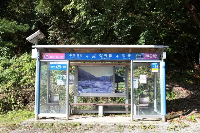 법흥계곡 사진