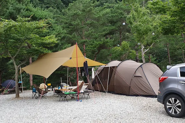 왕피천 하늘담 야영장 사진