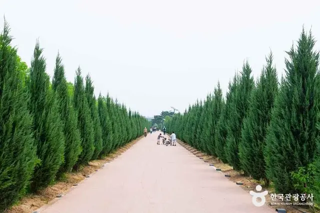 구리한강시민공원 사진