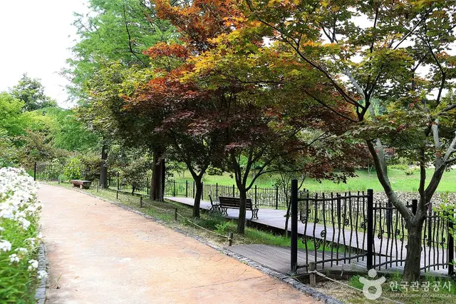 황학산수목원유아숲체험원 사진