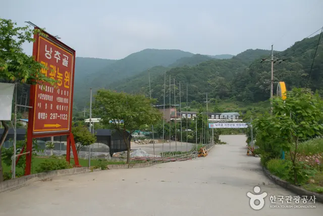 낭추골현장체험학습원 눈썰매장 사진