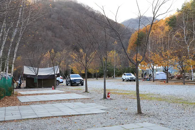흥정계곡캠핑700 사진