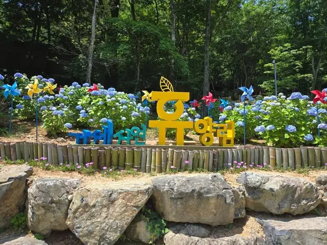 거제자연휴양림 사진