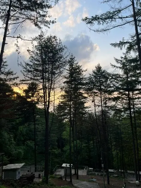 춘천숲자연휴양림캠핑장 사진