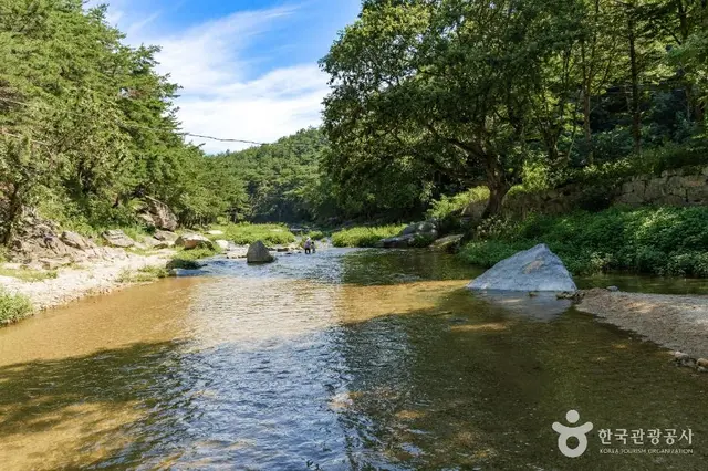 석천계곡 사진