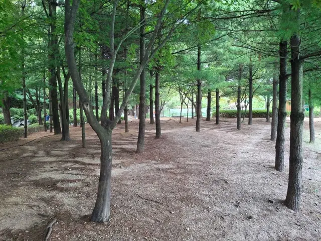 대현산배수지공원 사진