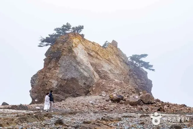 꽃지해수욕장 사진