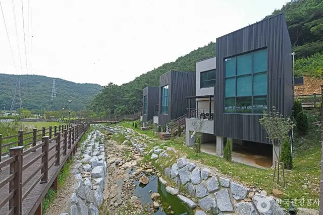 선암 자연휴양림 사진