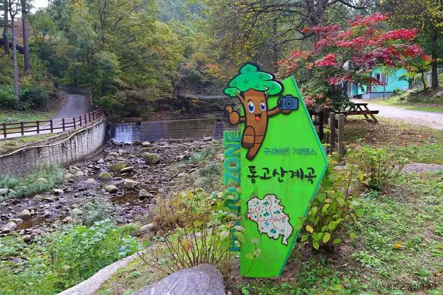 국립 통고산자연휴양림 사진