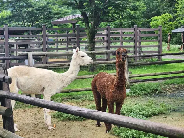 펫힐링 달빛동물원 사진