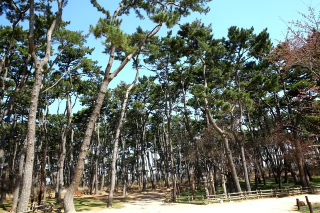 대왕암공원 사진