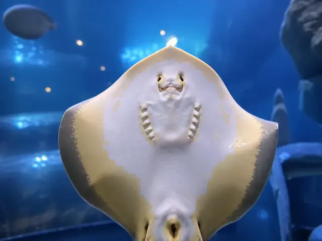 전라남도해양수산과학관 사진