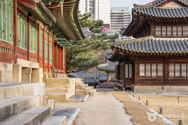 덕수궁 사진