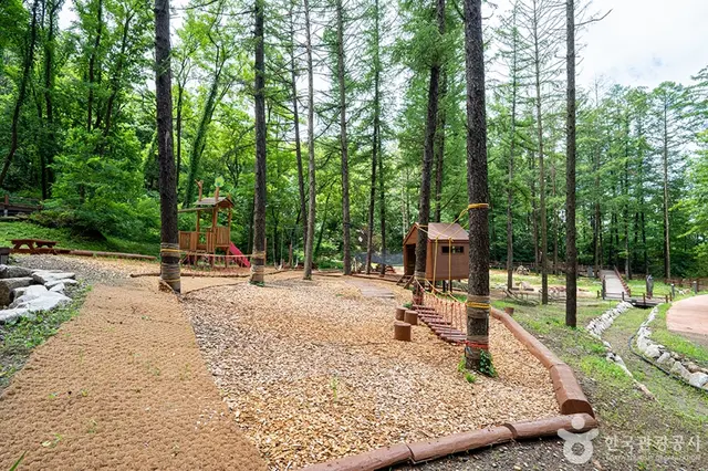 고대산자연휴양림 사진