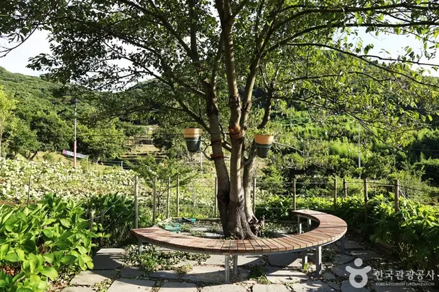 가덕도외양포전망대 사진