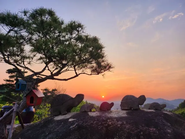 송주미술관카페 사진