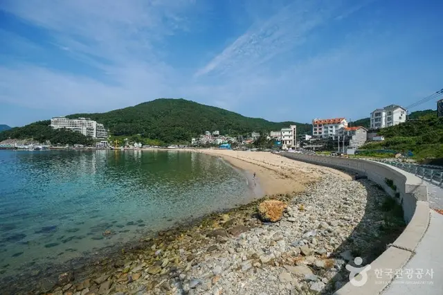 와현모래숲해변 사진