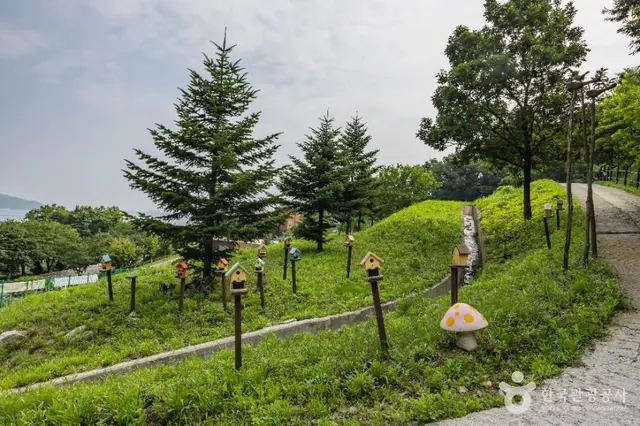 석모도 자연휴양림 사진