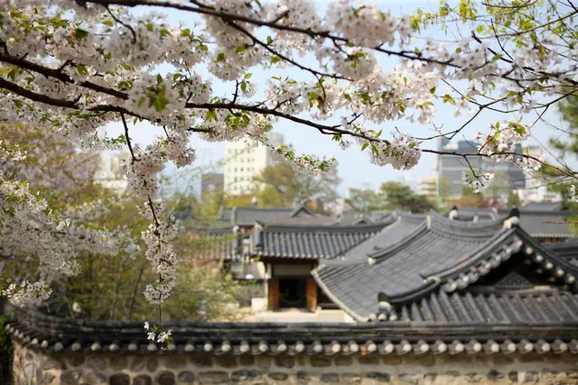 남산골한옥마을 사진