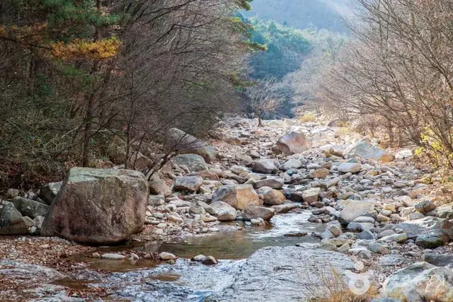 울산수목원 사진