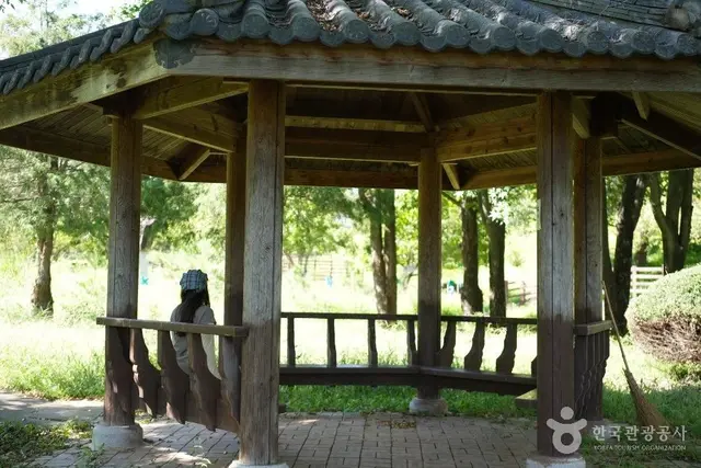 시민문화체육공원 사진