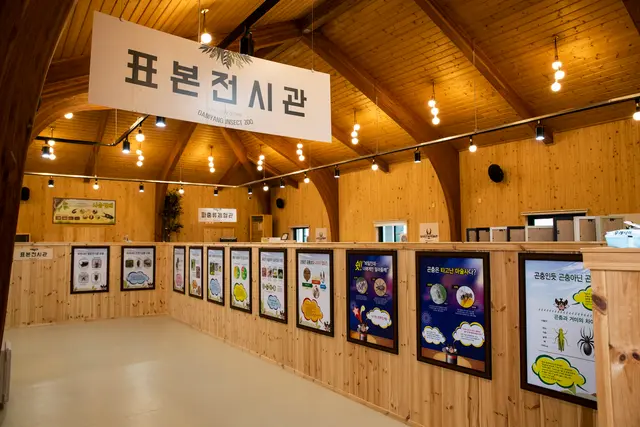 담양곤충박물관 사진