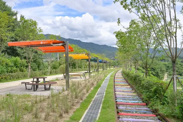 치악산 바람길숲 사진