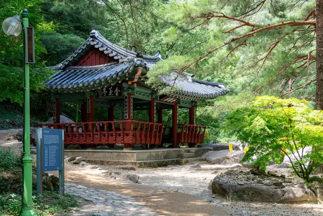 무릉계곡 사진