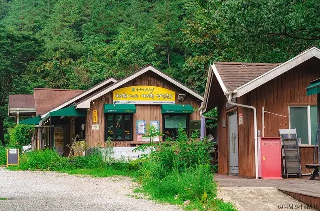상관 공기마을 편백숲 사진