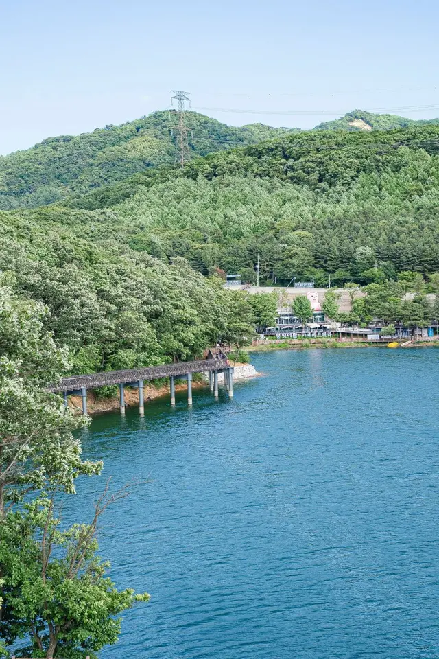 마장호수 출렁다리 사진