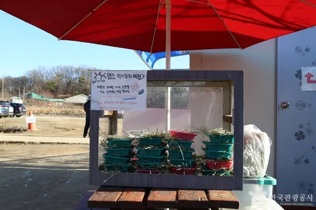 김포곤충농장 사진