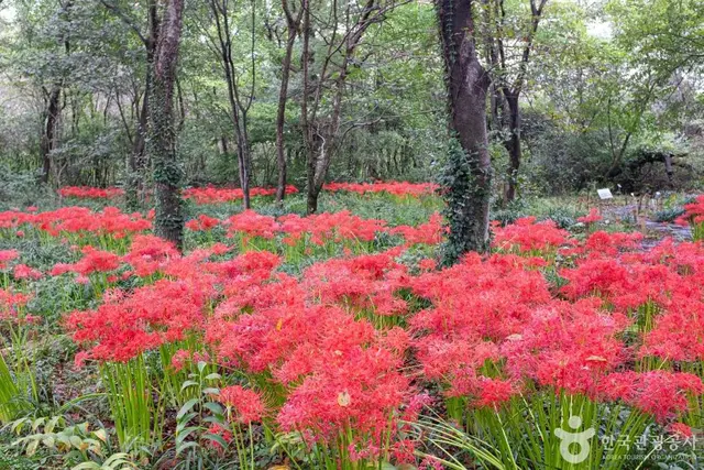 기청산식물원 사진