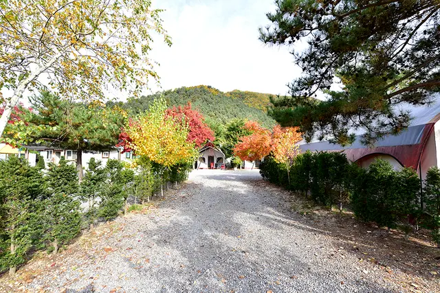 솔바람캠핑장 사진