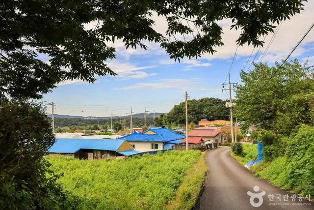 여주 오감도토리마을 사진
