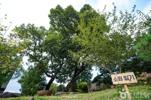 소울원 사진