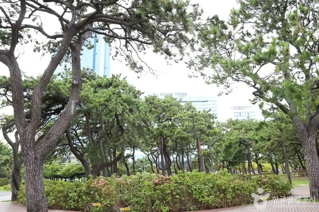 송림공원 사진