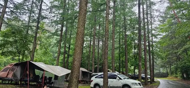 국립청옥산자연휴양림 사진