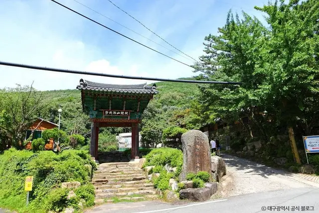 비슬산자연휴양림 사진