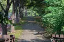헤이리무장애노을숲길 사진