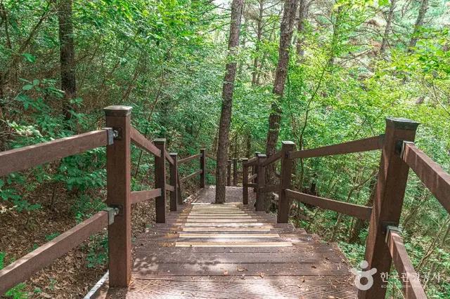 문수산산림욕장 사진