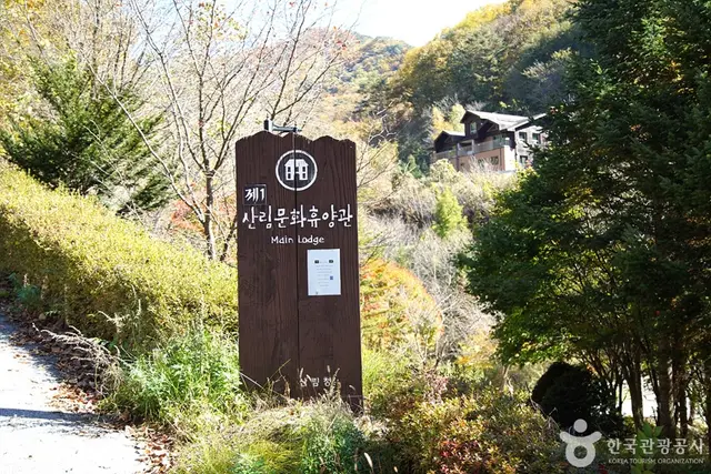 국립 복주산자연휴양림 사진