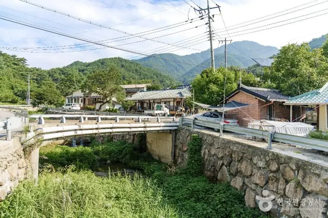 춘양목송이 정보화마을 사진