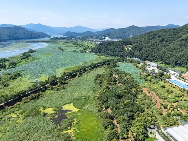경안천 습지생태공원 사진