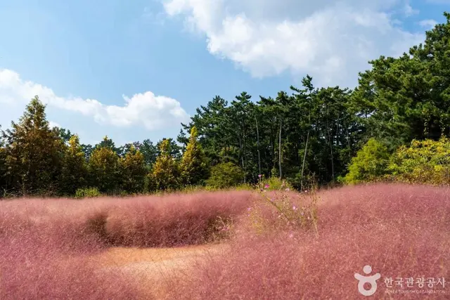 청산수목원 사진