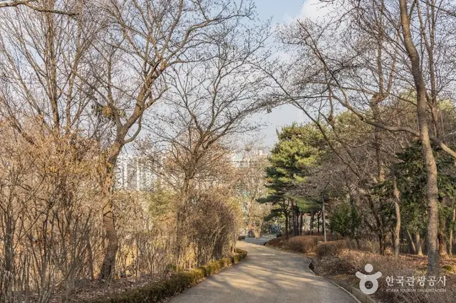 대모산도시자연공원 사진