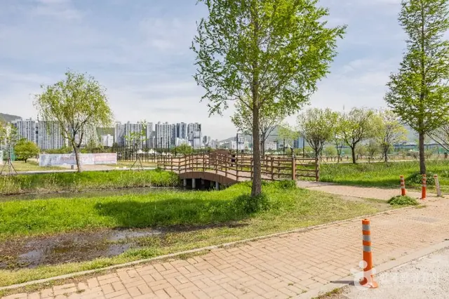 삼락생태공원 사진