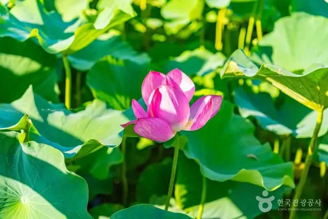 용담호자연생태습지공원 사진